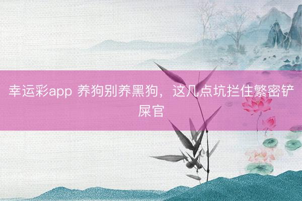 幸运彩app 养狗别养黑狗，这几点坑拦住繁密铲屎官