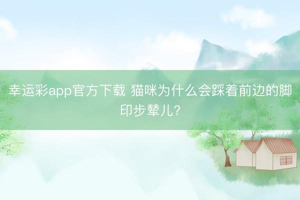 幸运彩app官方下载 猫咪为什么会踩着前边的脚印步辇儿?