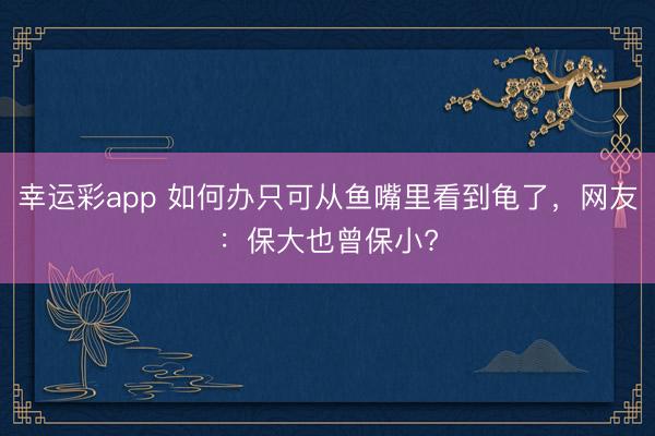 幸运彩app 如何办只可从鱼嘴里看到龟了，网友：保大也曾保小?