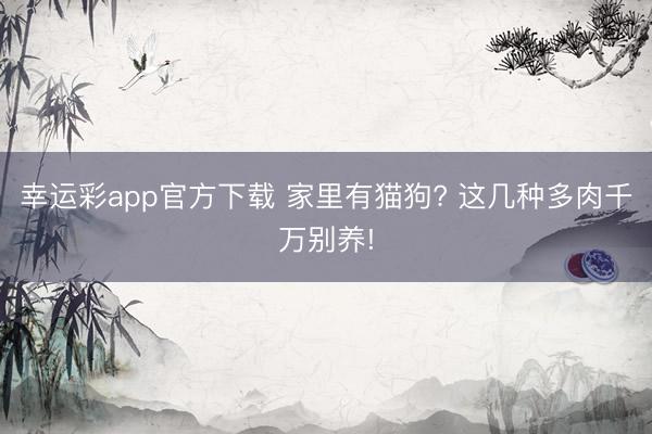 幸运彩app官方下载 家里有猫狗? 这几种多肉千万别养!
