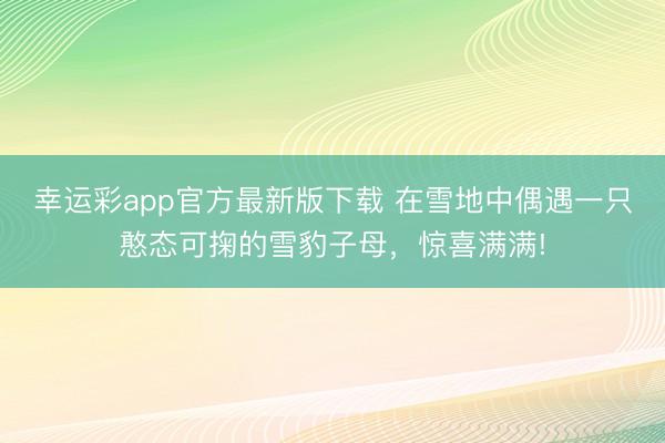 幸运彩app官方最新版下载 在雪地中偶遇一只憨态可掬的雪豹子母,惊喜满满!