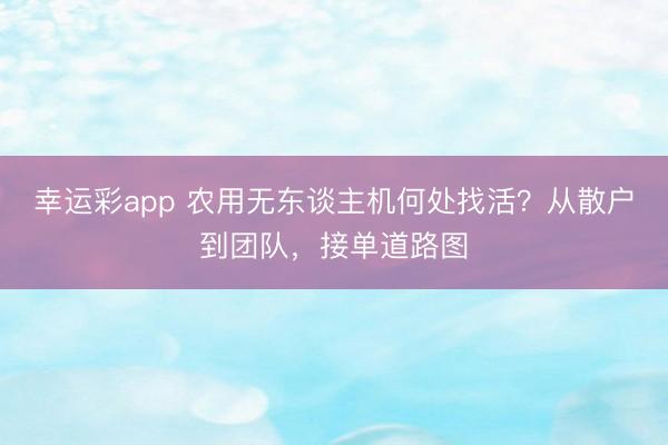 幸运彩app 农用无东谈主机何处找活?从散户到团队,接单道路图